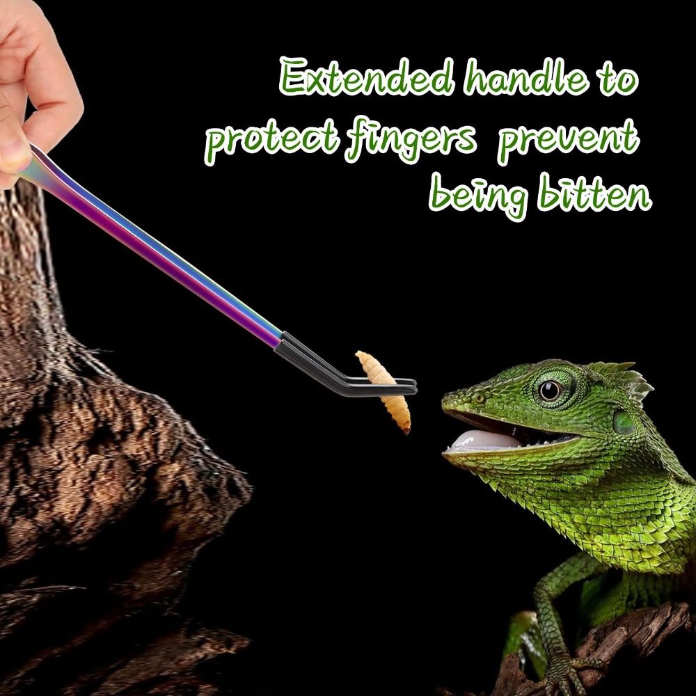 2 Stück Edelstahl-Reptilien-Fü – Feeding Tong Stainless Bewertung und Preis