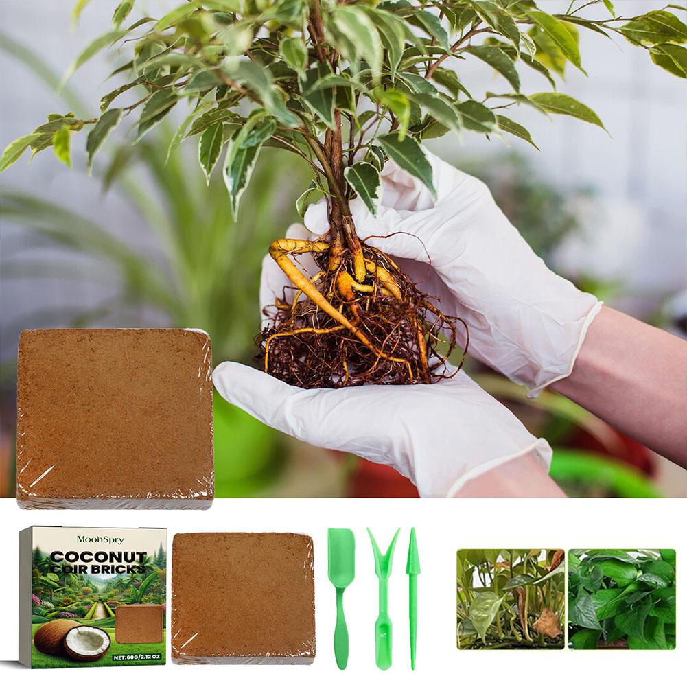 Kokosfaser-Ziegel - Organische – Substrate Coconut Fiber Bewertung und Preis