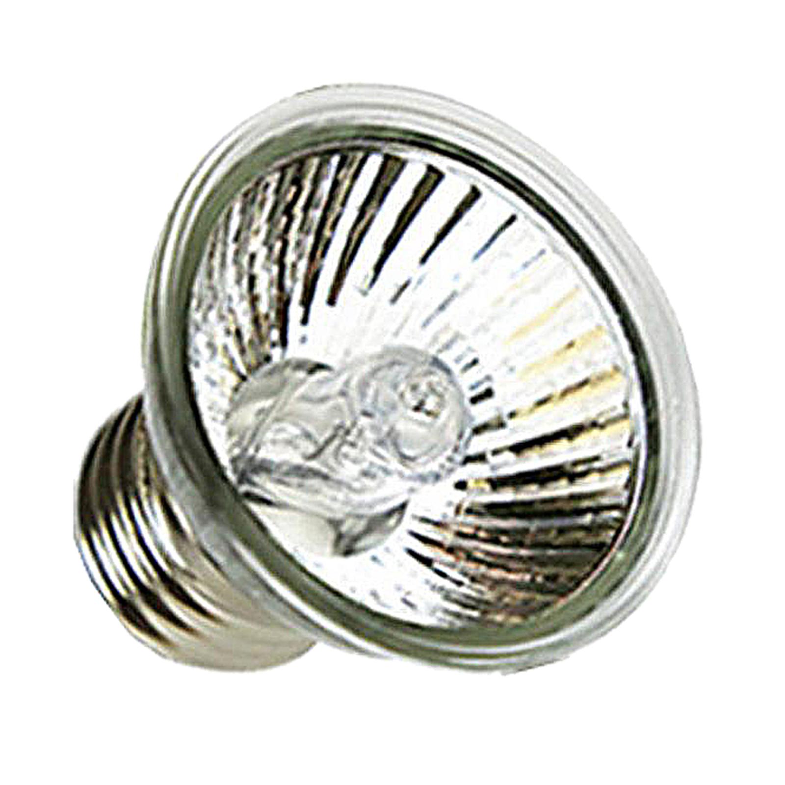 UVA-UVB-Reptilien-Wärmelampe,  – Basking Bulb Halogen Bewertung und Preis
