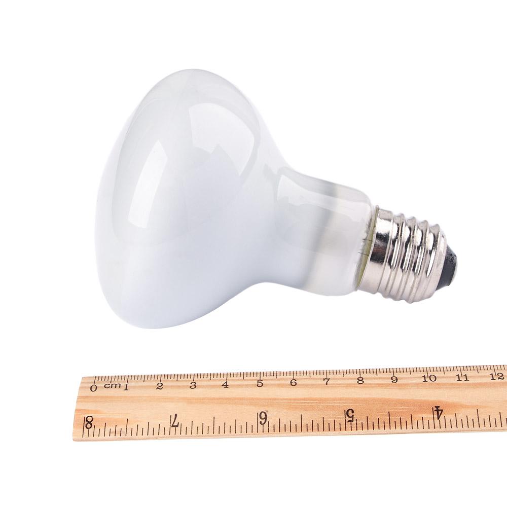 Schildkröten-Heizstrahler mit  – Basking Bulb Halogen Bewertung und Preis