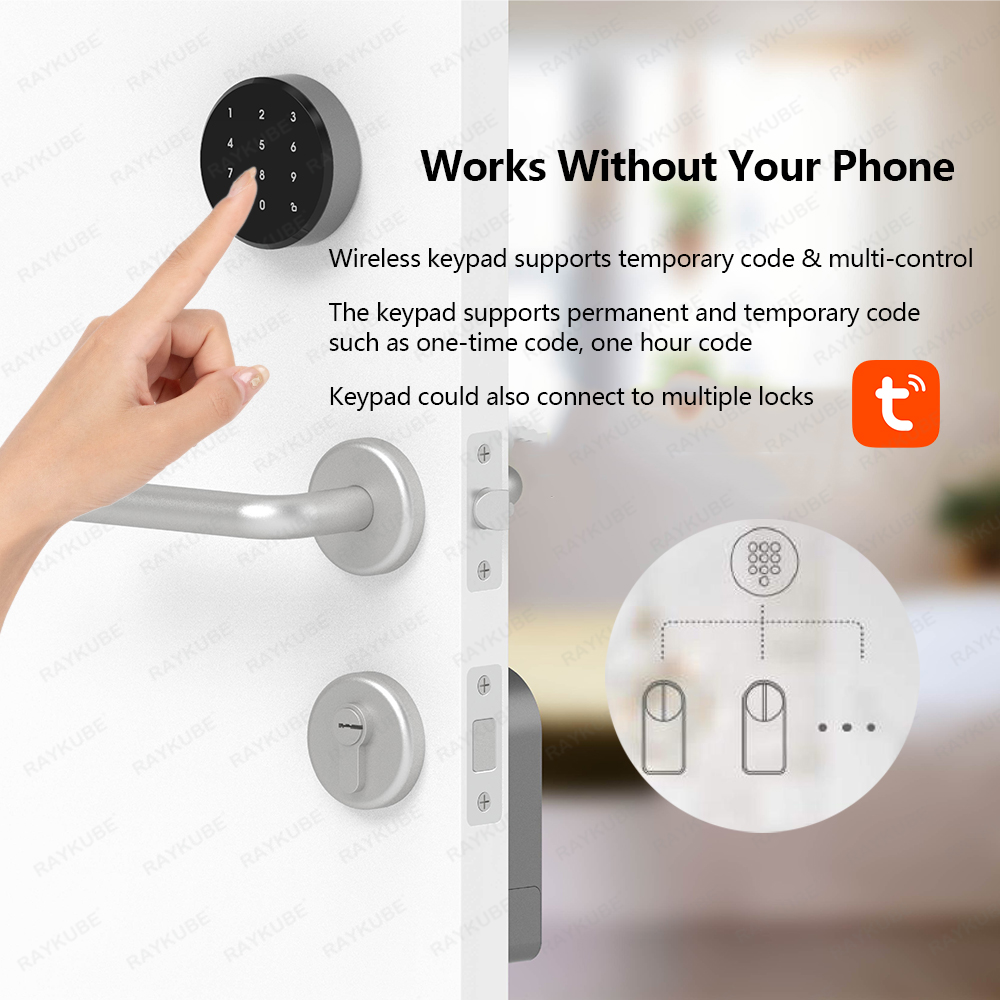 RAYKUBE A1 Pro Tuya BEL Smart  – Glass Door Hinge Bewertung und Preis