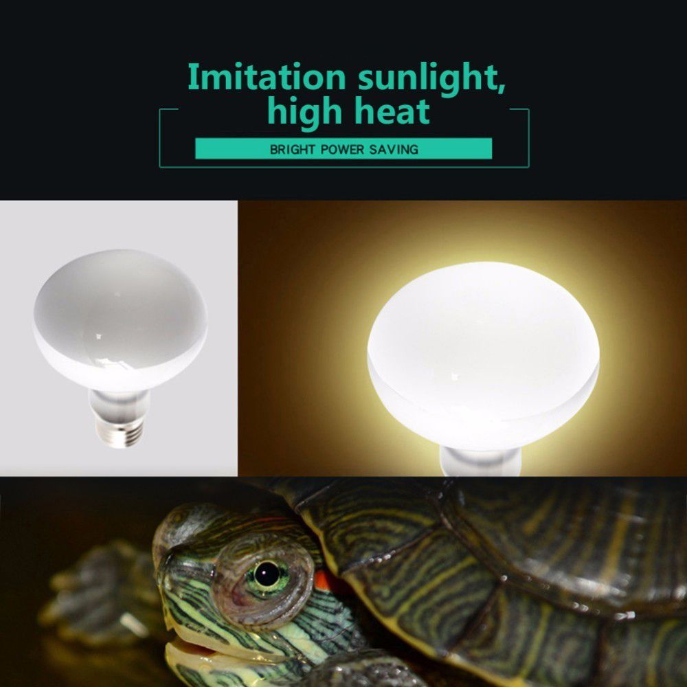 Schildkröten-Heizgerät Tempera – Basking Bulb Halogen Bewertung und Preis