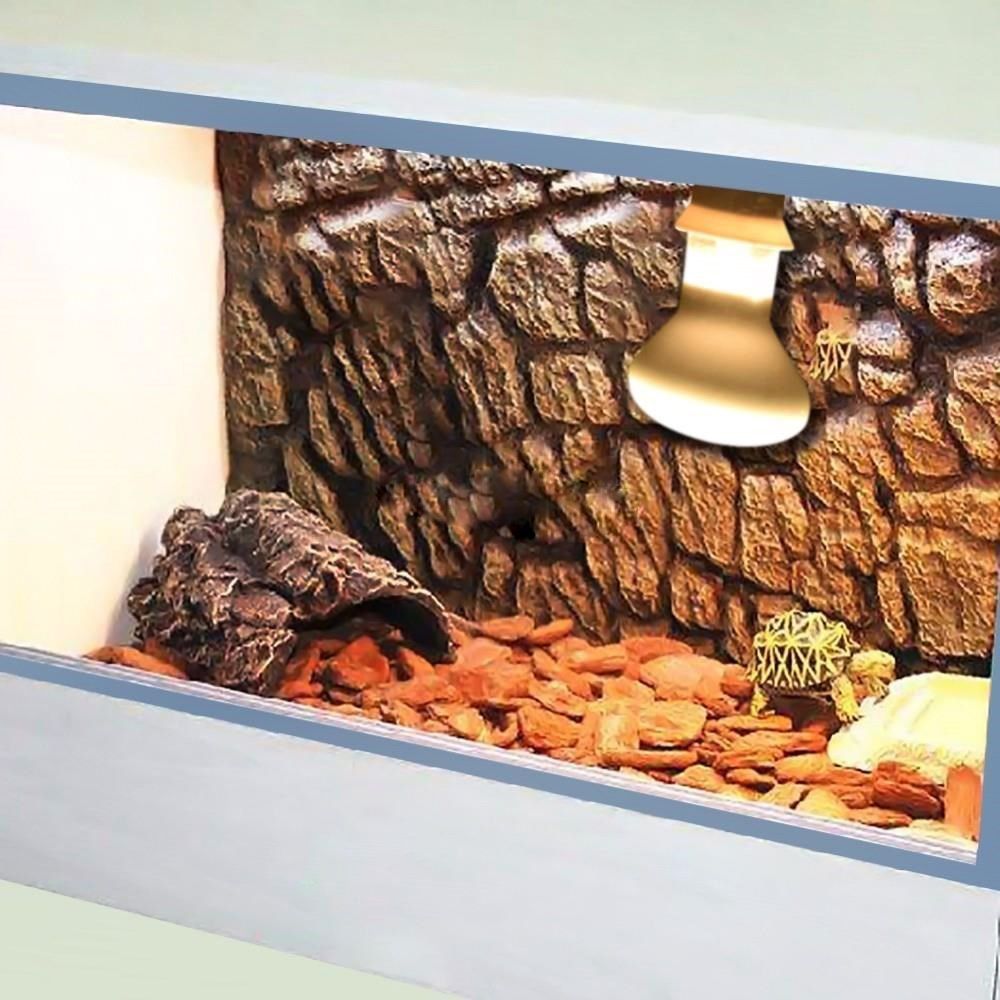 Amphibien-Wärmelampe, Heizgerä – Basking Bulb Halogen Bewertung und Preis