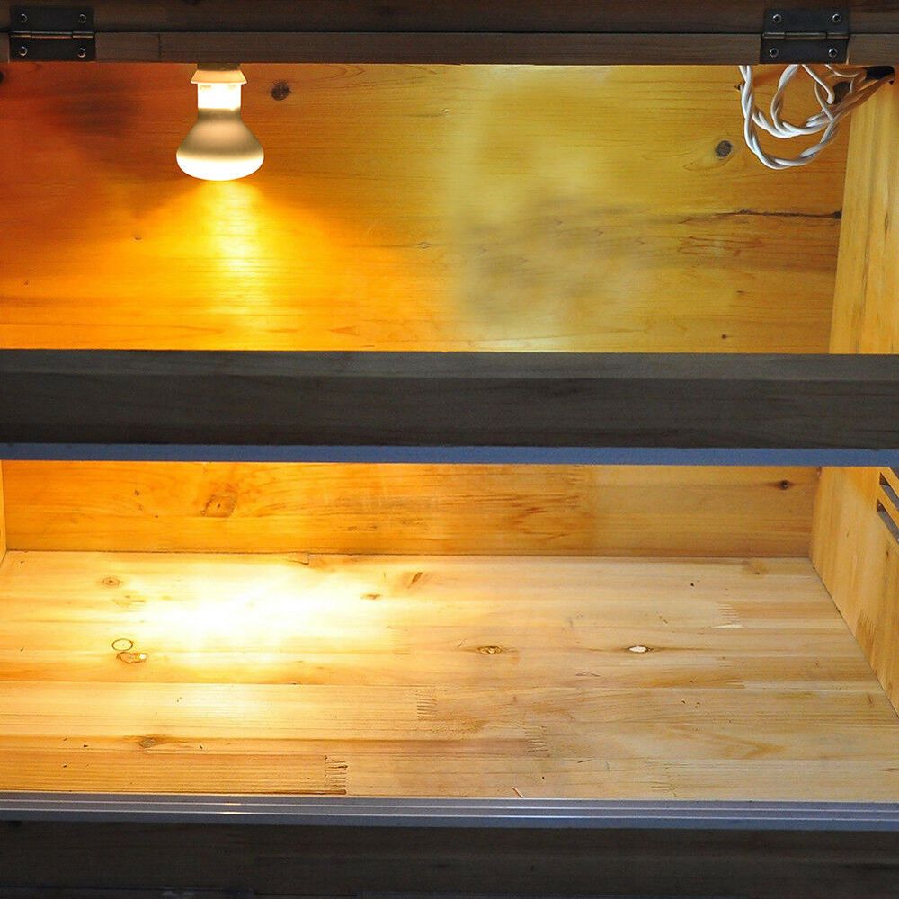 Amphibien-Wärmelampe, Heizgerä – Basking Bulb Halogen Bewertung und Preis