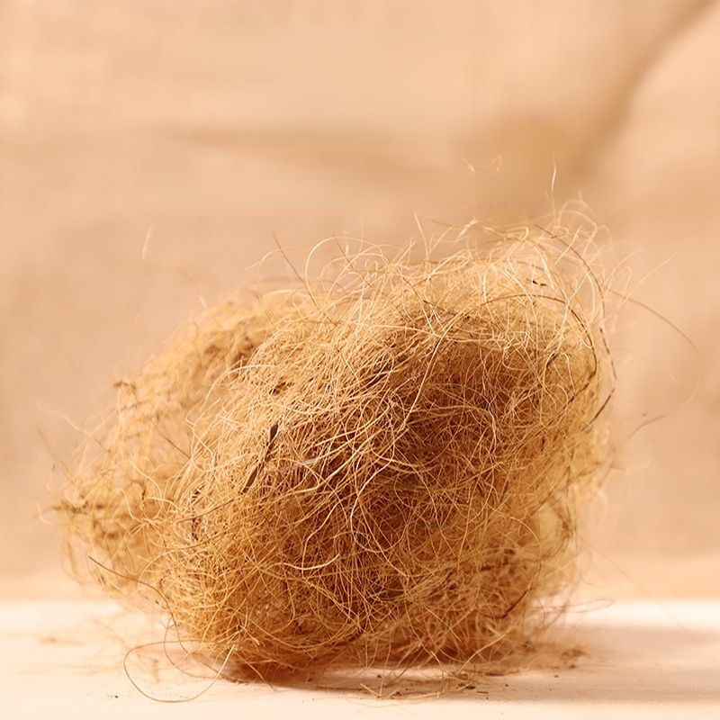 100 g Finken-Kokosfaser-Bettwä – Substrate Coconut Fiber Bewertung und Preis