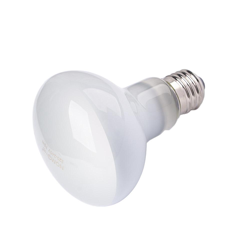 Amphibien-Wärmelampe mit Tempe – Basking Bulb Halogen Bewertung und Preis